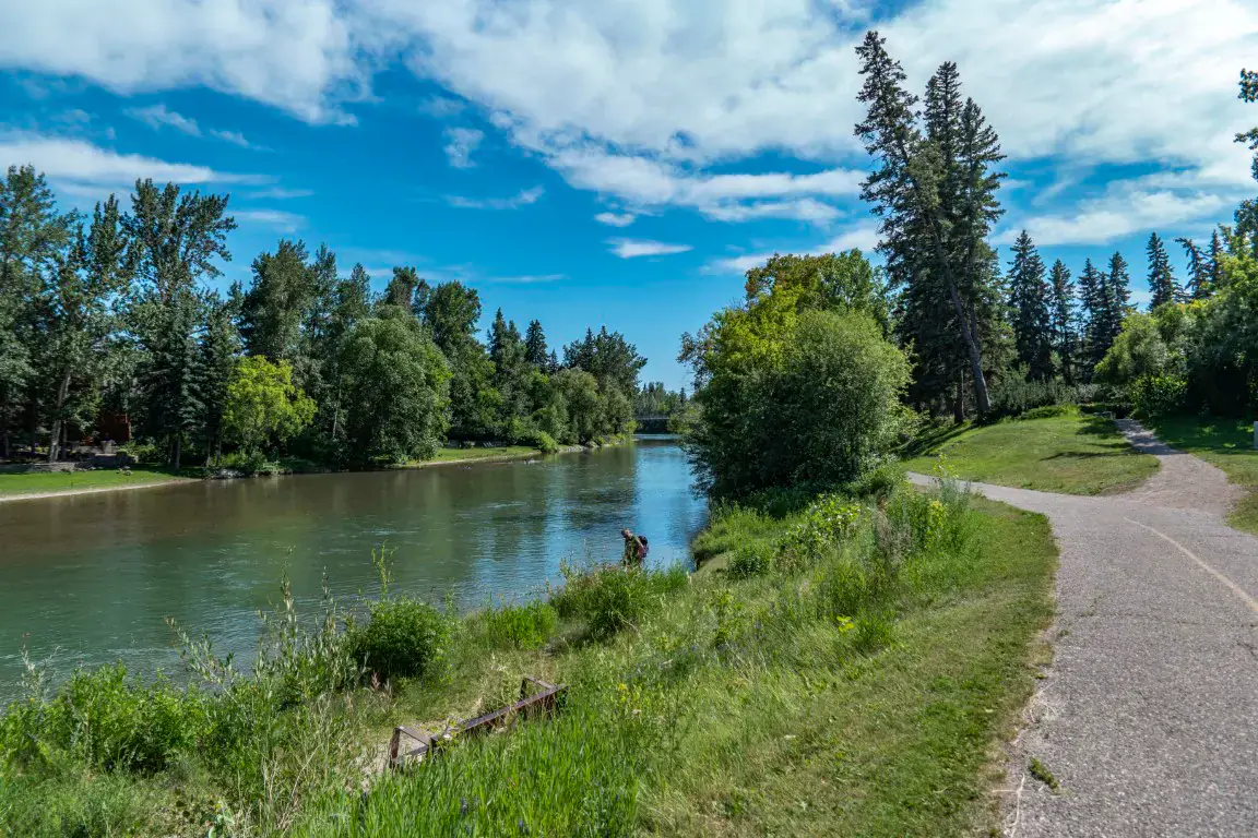 Elbow Park property and community context