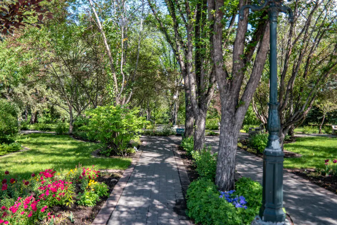 A residential street in Elbow Park